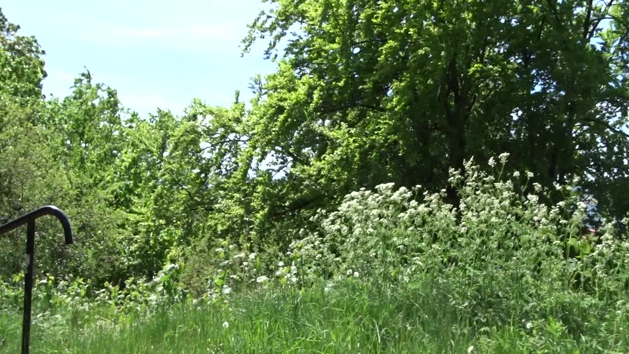 I Öresundsparken, Helsingborg 25 Maj 2017