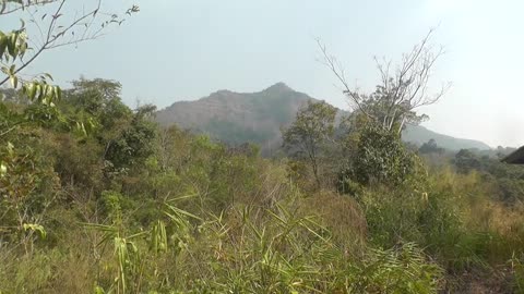 Scenery Khao Yai National Park, Thailand