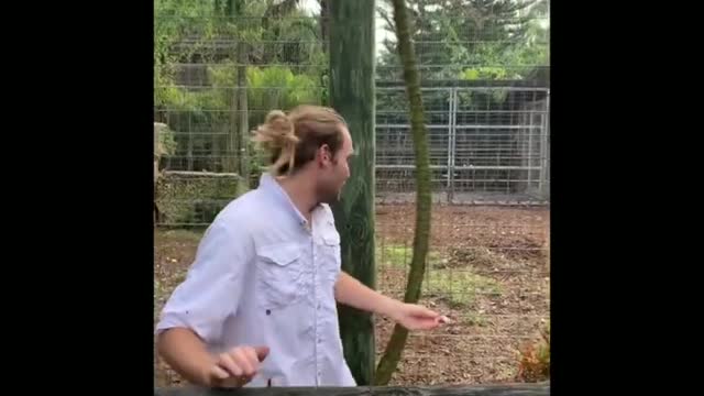 Funny and Cute Horse Videos That Will Change Your Mood For Good