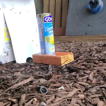 22 cal Pellet vs thick full Goya can