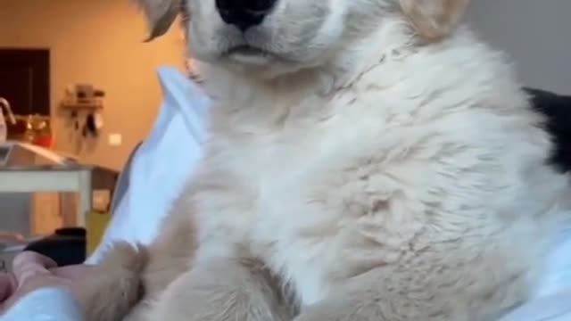 what sound?