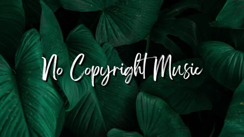 Chill Future Bass Vlog Music - No Copyright Music