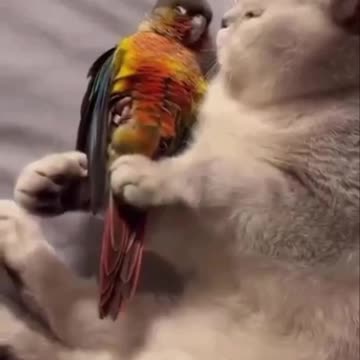 When you are startled by a nightmare