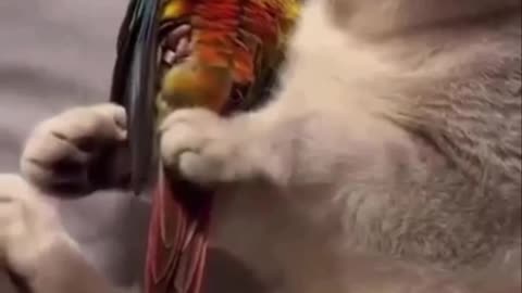 When you are startled by a nightmare