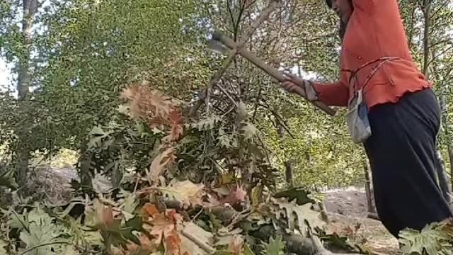 The first time playing an ax with a wooden branch
