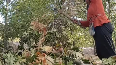 The first time playing an ax with a wooden branch