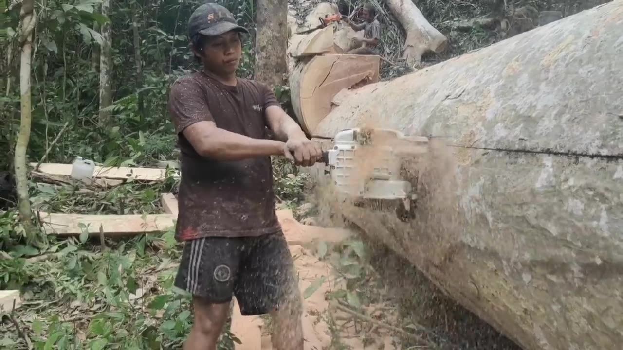 proses penggergajian kayu jati kering super kualitas terbaik bahan kusen masjid Indonesian