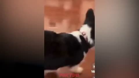 Funny Videos / Fails Of The Week / Fail Compilation / Random Fails