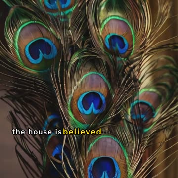 Superstitions in the UK