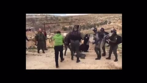 every day life in palestine