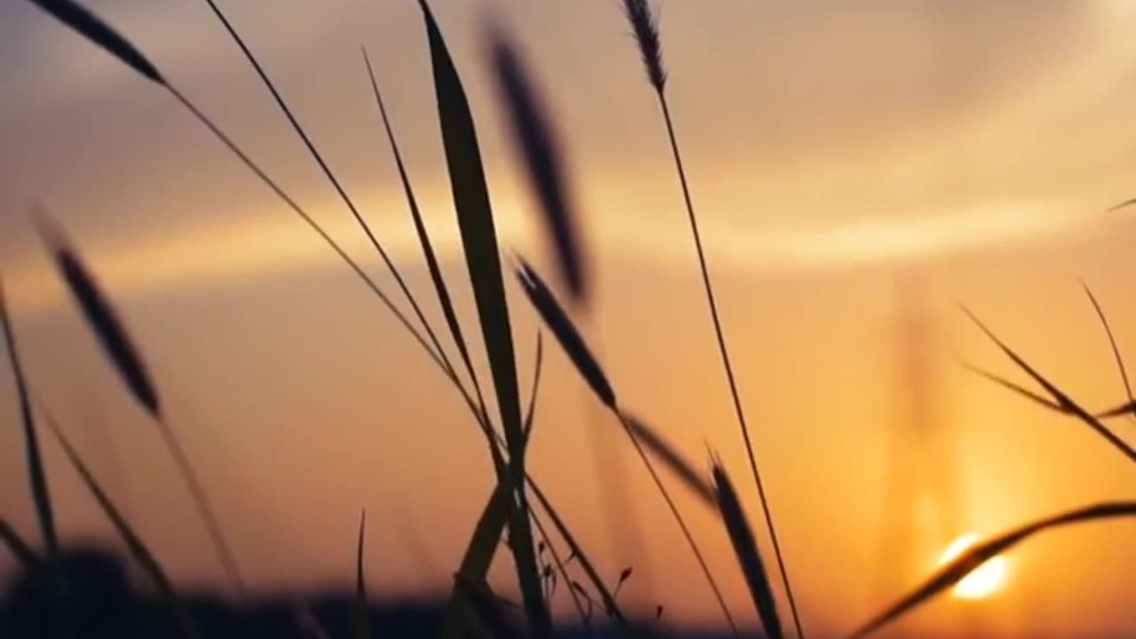 Sleep Music - Sleeping Music For Deep Sleeping - Relaxing Music , Healing Music, Meditation Music