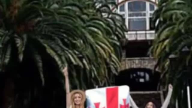 Стрим грузин в ТикТоке - 04.02.2022