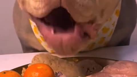 Bruno the Bully's Yummy Feast!