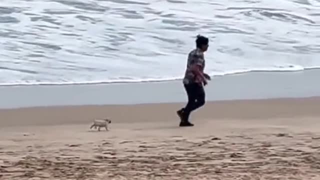 My dad with the dog he didn’t want 🤣 🎥