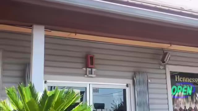 Does anybody know whats causing this