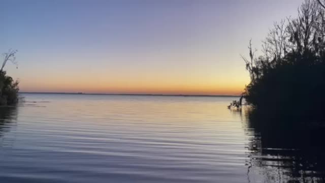 Sunrise on Lake Griffin in Central Florida 🇺🇸