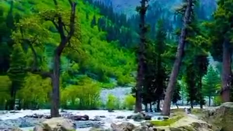 The Beautiful Swat