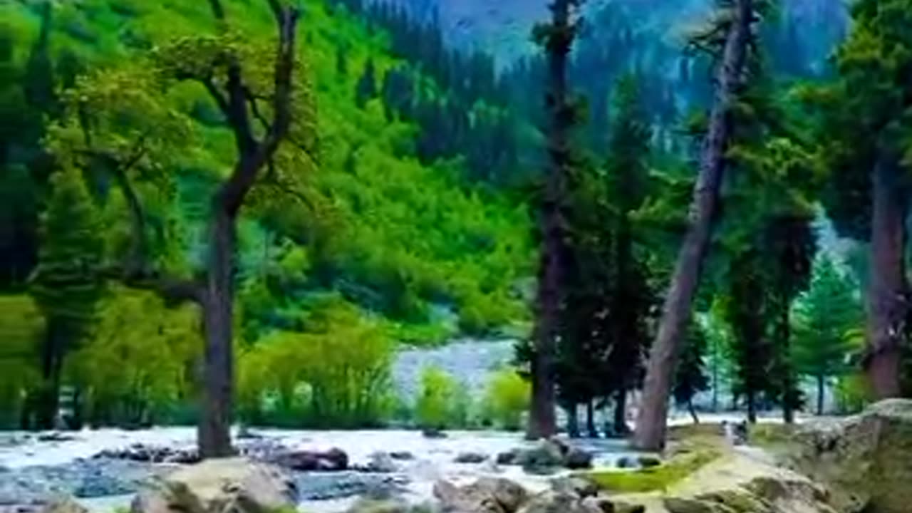 The Beautiful Swat