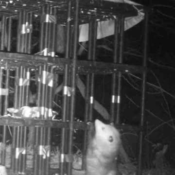 EA S47 - The Struggle is REAL