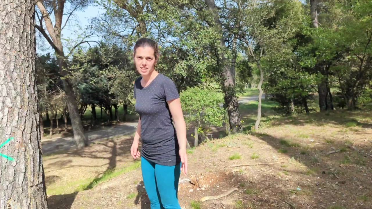 2023-04-23 (1) - mégalithique de l'air mésozoïque - Twitch Triskelina