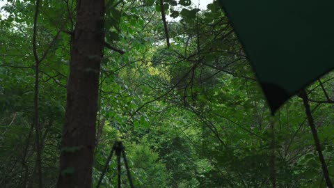 Camping in the outdoor camp in the forest. In case of light rain, enjoy the camping time alone