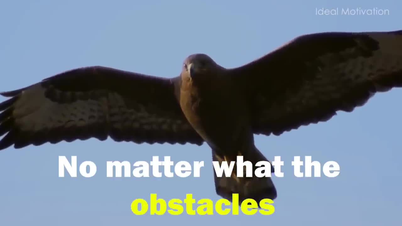 The Eagle Mentality - Best Motivational Video