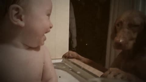 Baby Bathing, Bonding & Belly-laughing with Vizsla Dog