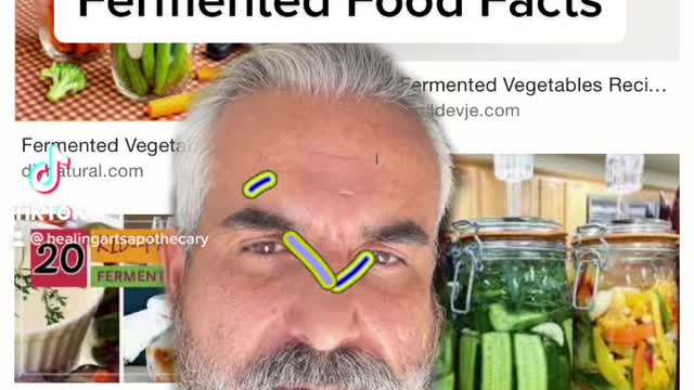 Fermented Food Facts