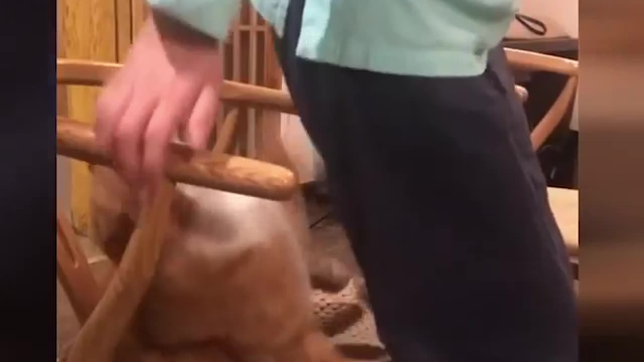 Man is sitting on a cat
