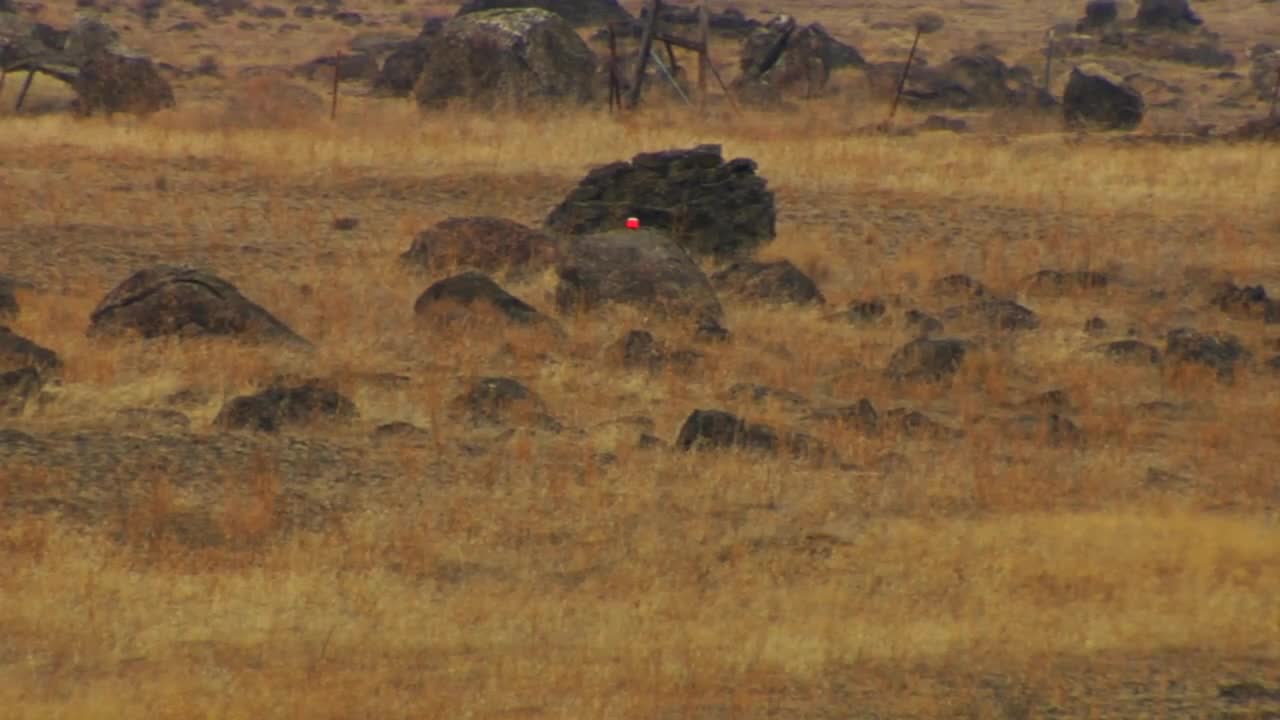 Tannerite 20 Second Video