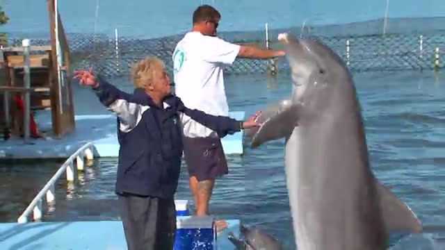Dolphin Dance Video_Cut