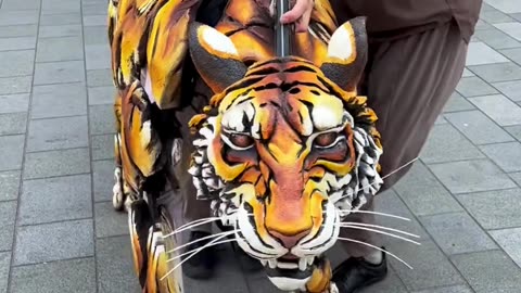 Is the best tiger 🐅🐯, 😲