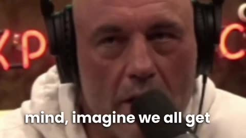 WOULD YOU WANT ELONS BRAIN