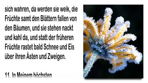 Wer wird den Tod nicht kosten ... Reicht der alleinige Glaube aus ... ❤️ Jesus erklärt Markus 91