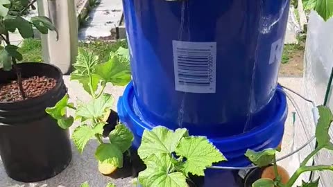 May 21 2023 AD Bato bucket update