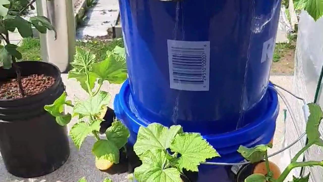 May 21 2023 AD Bato bucket update