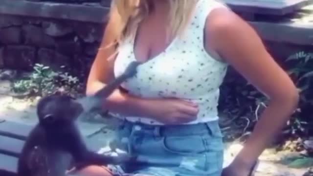 The monkey is also interested in what is there