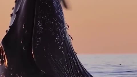 Beautiful