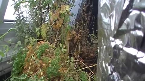 The Off Grid Tiny House 97 Waiting for Spring