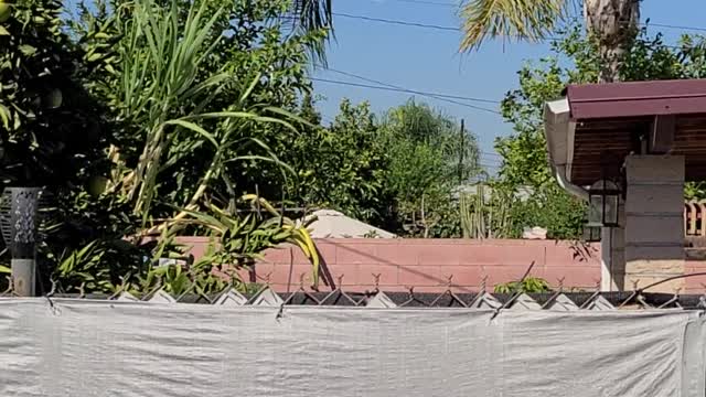 Ufo 🛸 👽 👾 🛸 👽 👾