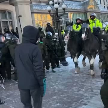 ottawa protest horse trampled people