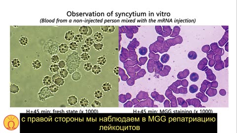 Следующая доза 3 Нужны ли нам еще доказательства?