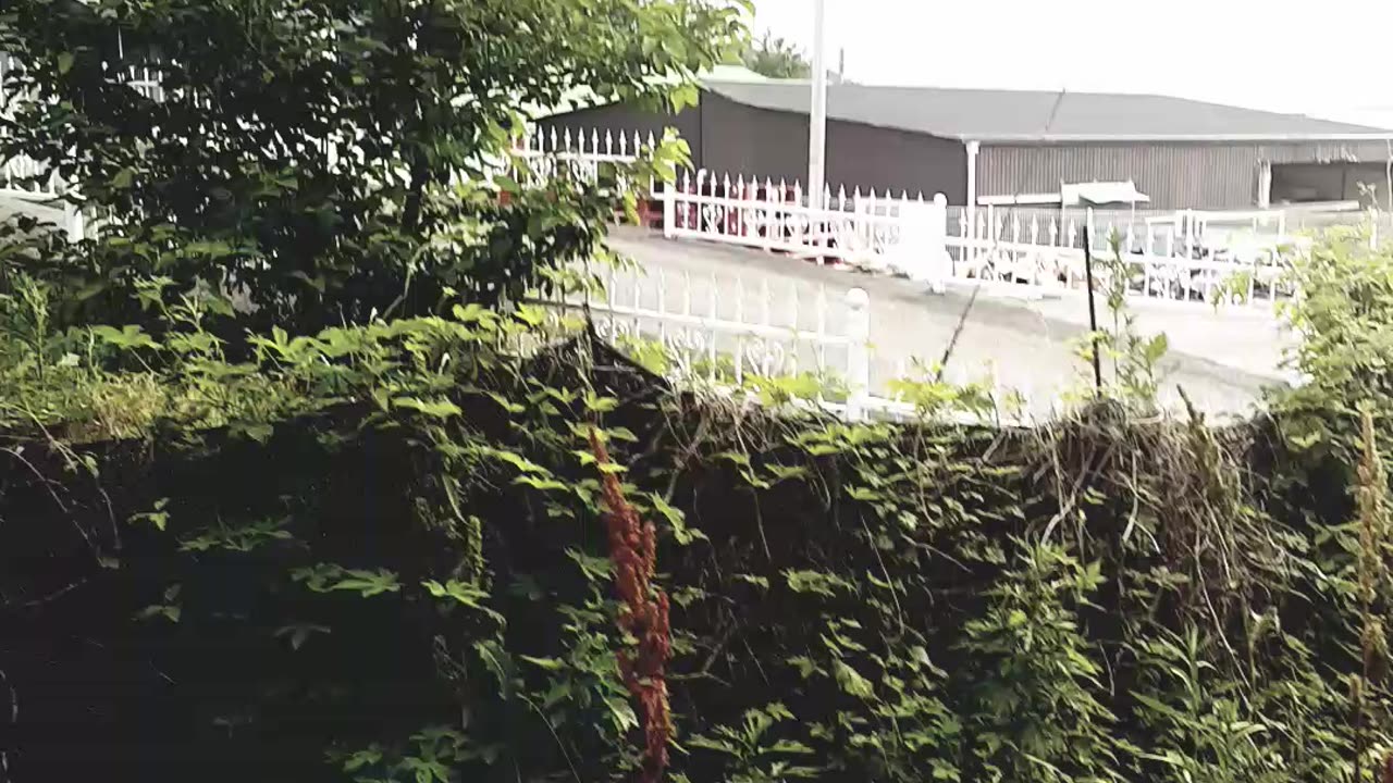 Excursion to Korea