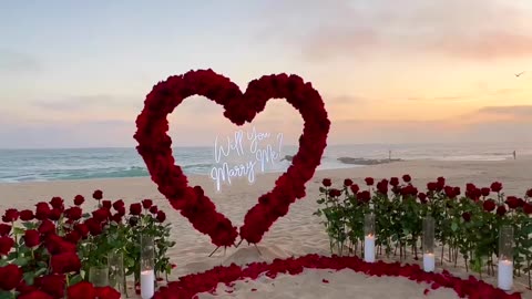 Such a dreamy marriage proposal