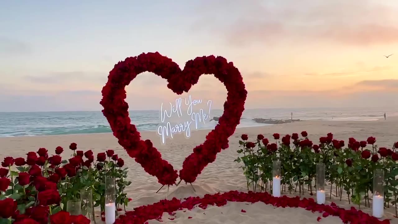 Such a dreamy marriage proposal