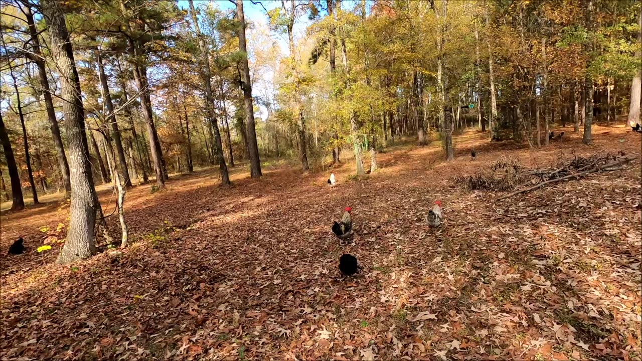 GLOCK 44 IS BACK!! FEAT. MY MOTHER