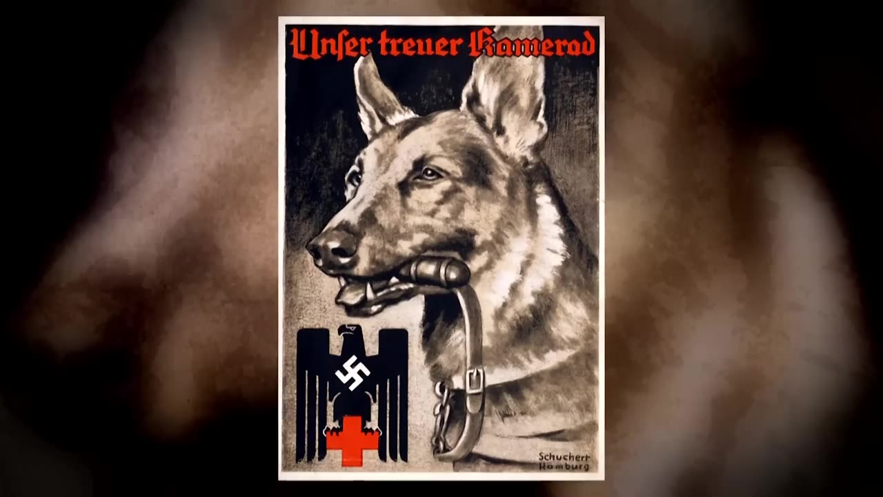 19. Hitler's Creatures The Nazis' Obsession with the Animal Kingdom Documentary