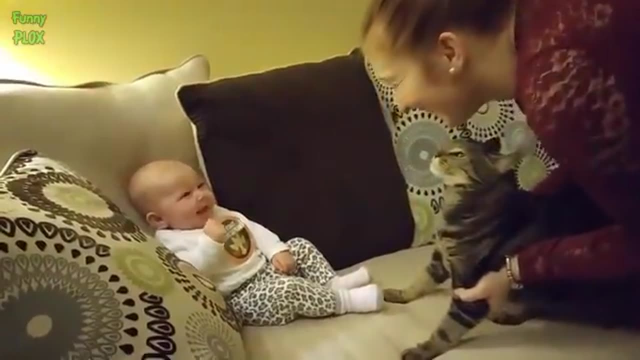 Most funny video