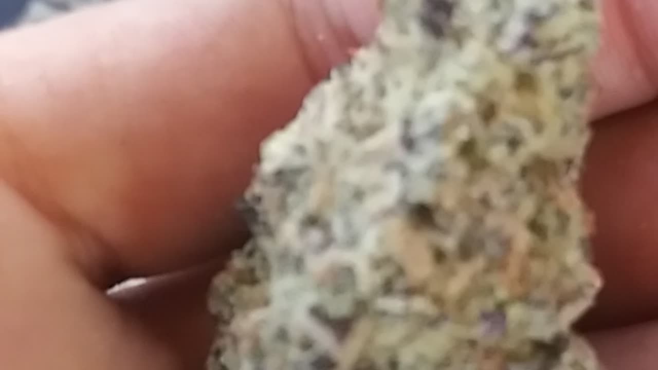 rollin up sweet purp https://www.youtube.com/@tnmgrown505/videos