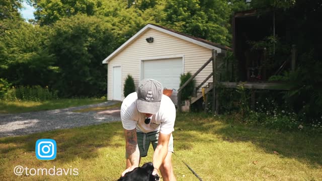 HOW TO SAFELY TRAIN DOGS COMPLETELY OFF LEASH!